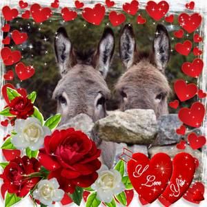 Meet your Posher, Dennis n margaret